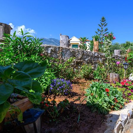 Σελήνη Leilighet Kotronion  Eksteriør bilde