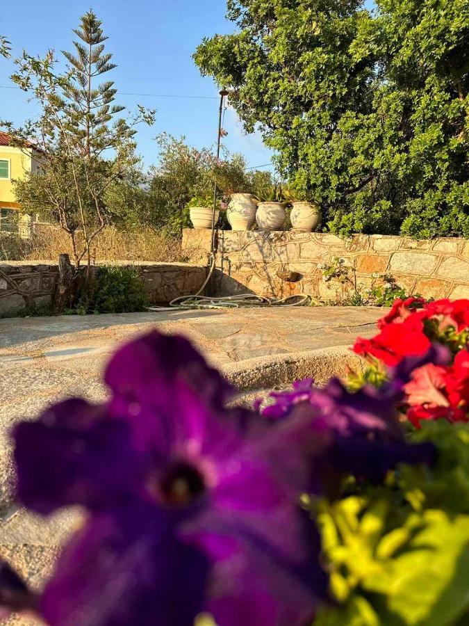 Σελήνη Leilighet Kotronion  Eksteriør bilde